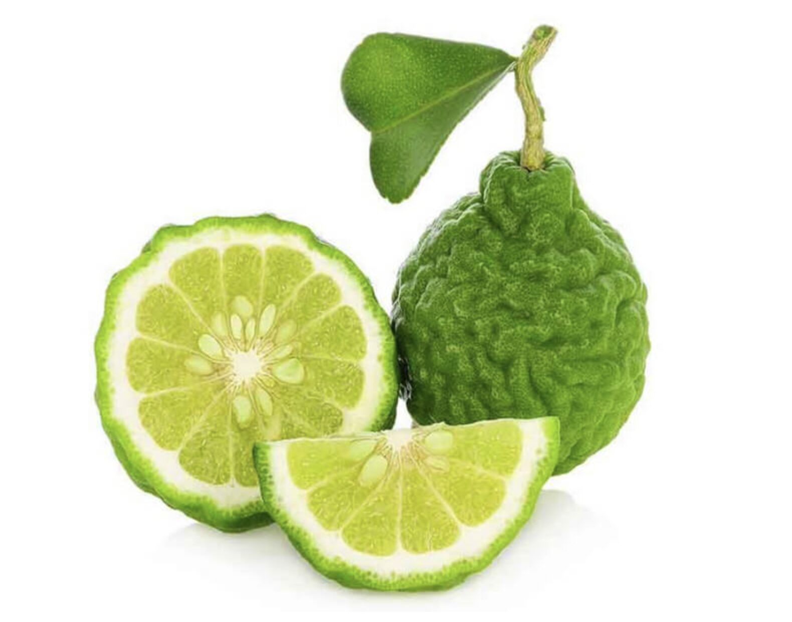 shampoo de bergamota